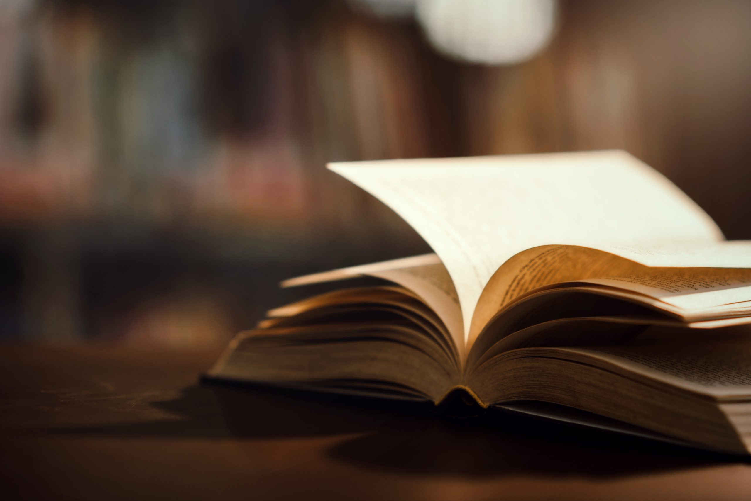 Livros e Ebooks Modelo 2