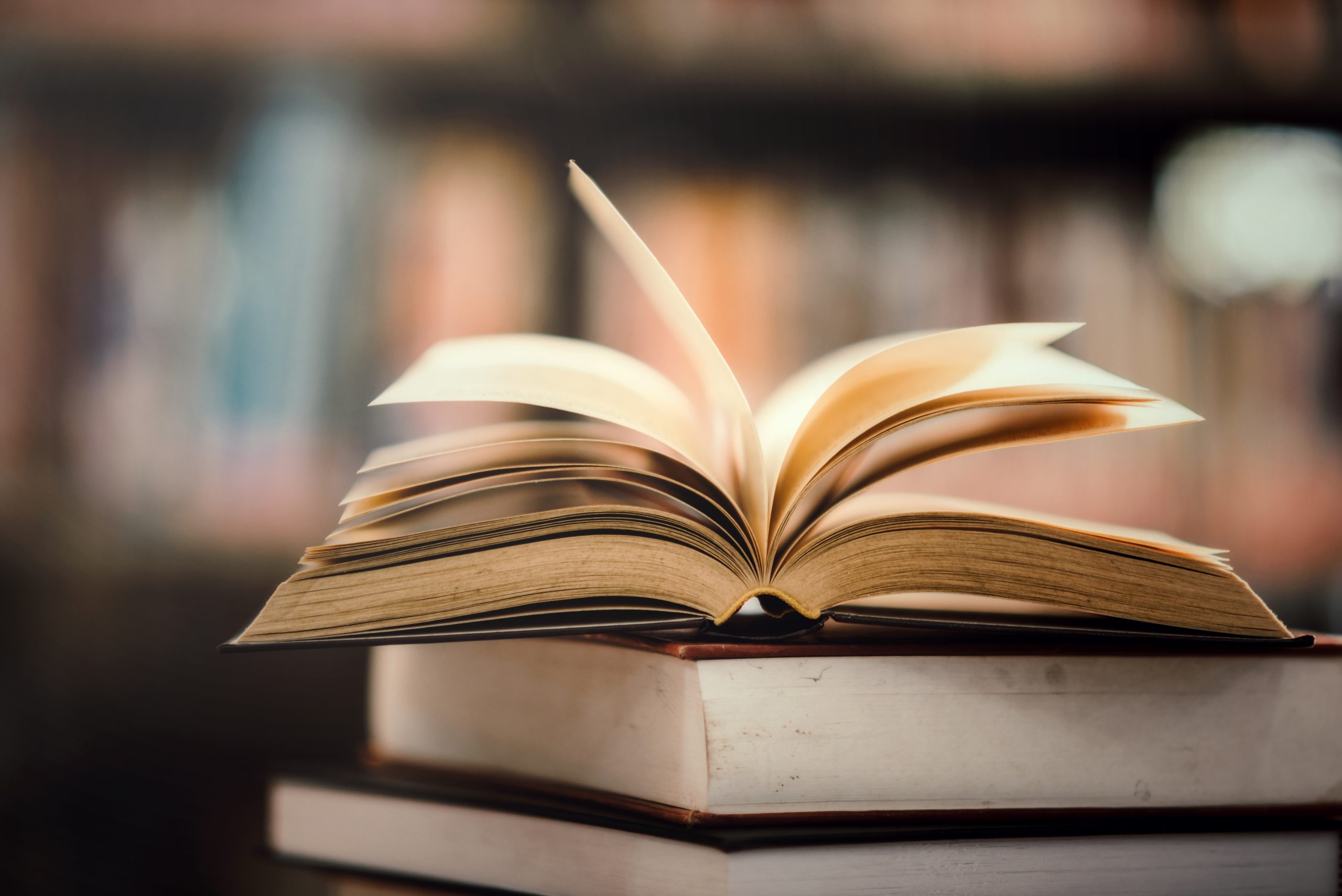 Livros e Ebooks Modelo 3
